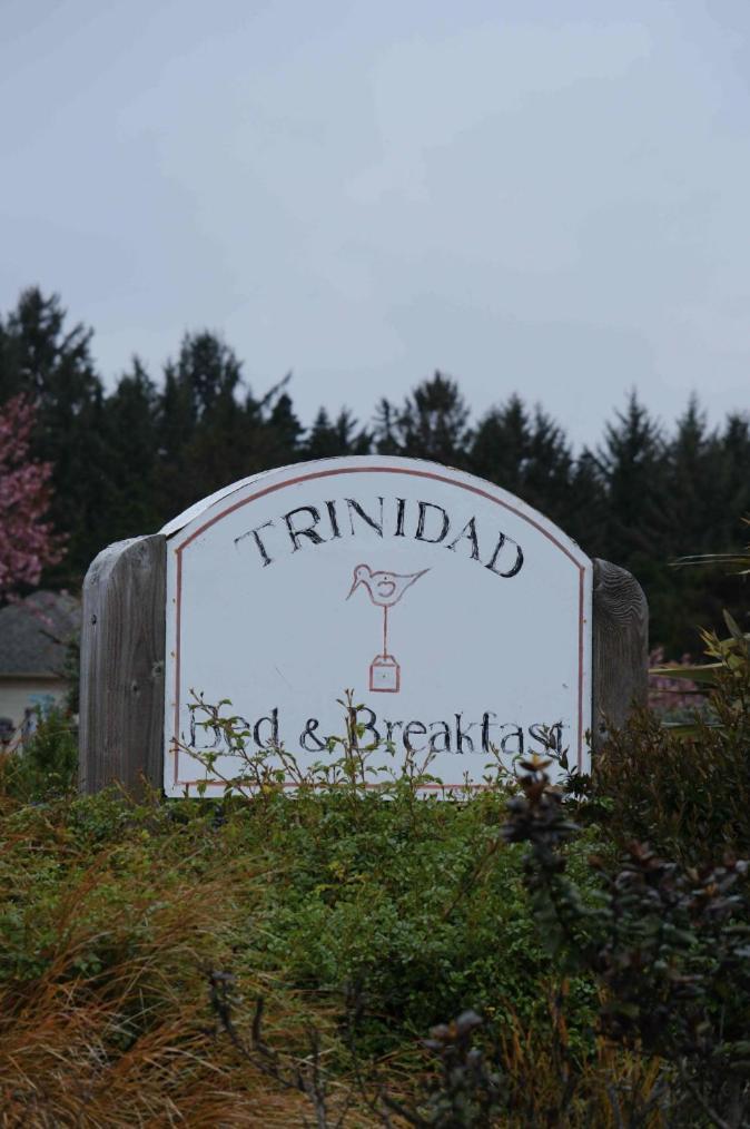 Trinidad Bay Bed And Breakfast Hotel Esterno foto